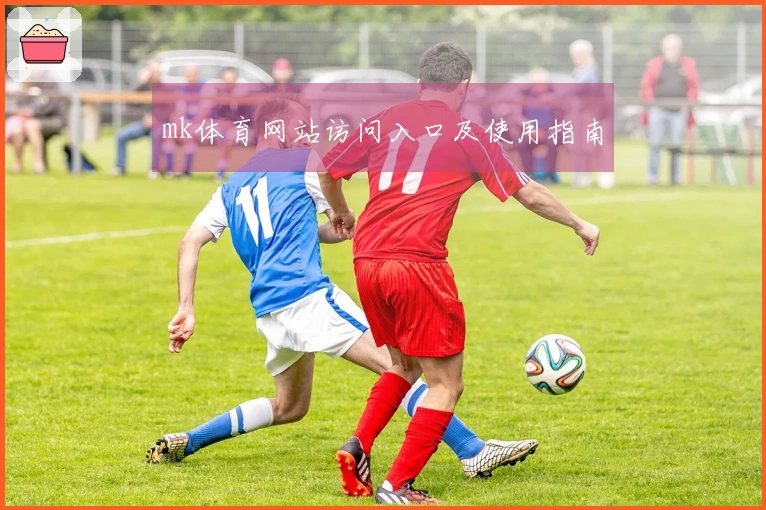 mk体育网站访问入口及使用指南
